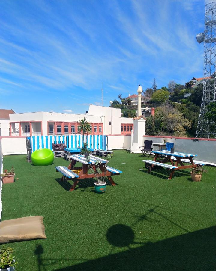 Crashpalace Backpackers เนเปียร์ ภายนอก รูปภาพ